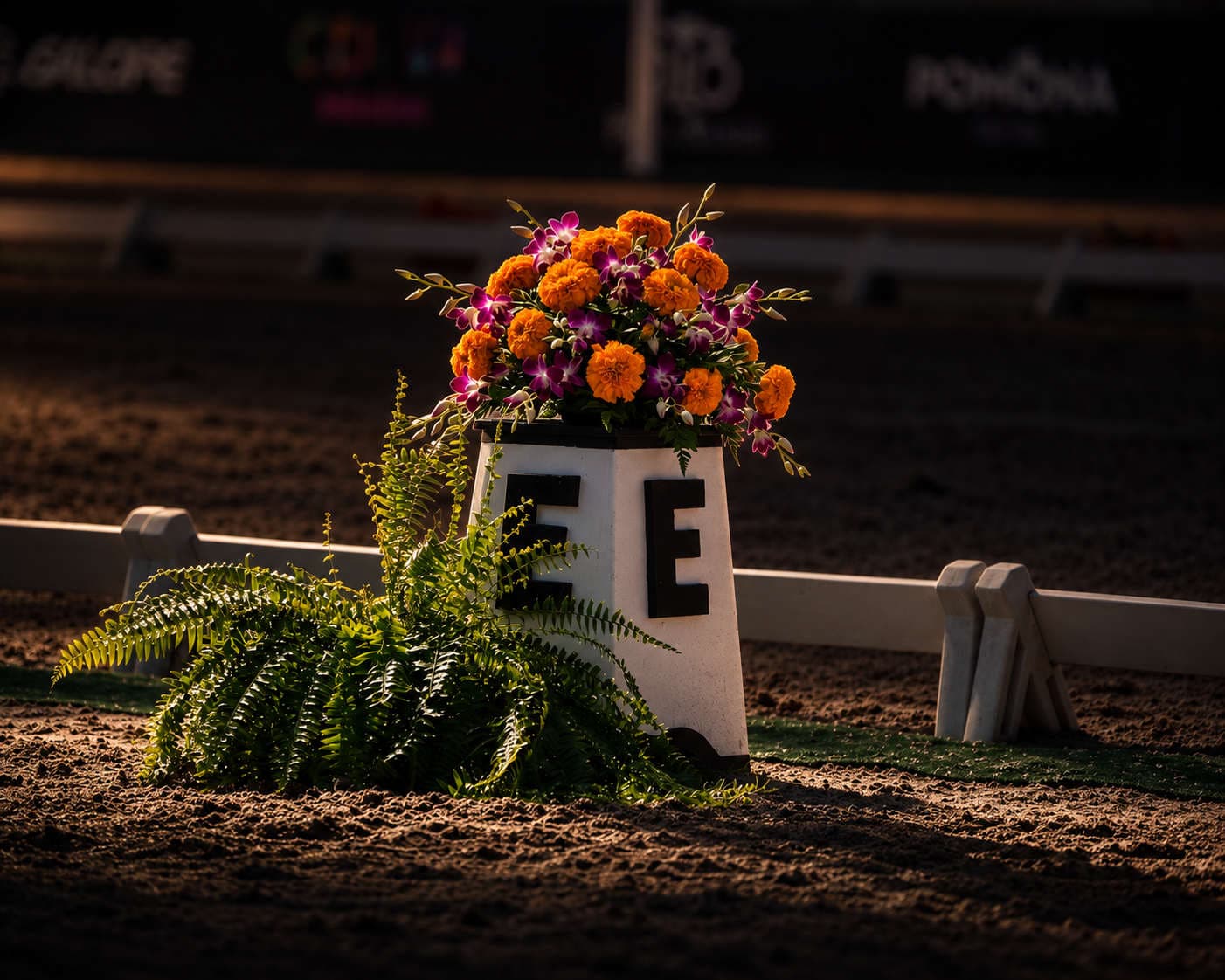Dressage arena marker in raked sand at dusk